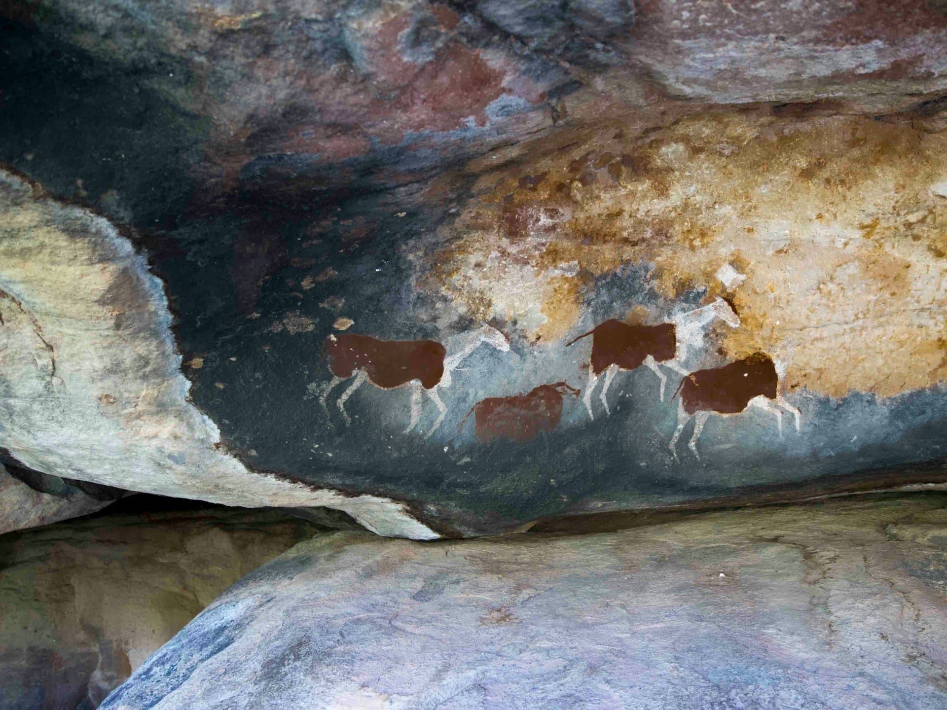 A photo of a cave painting of wild animals.